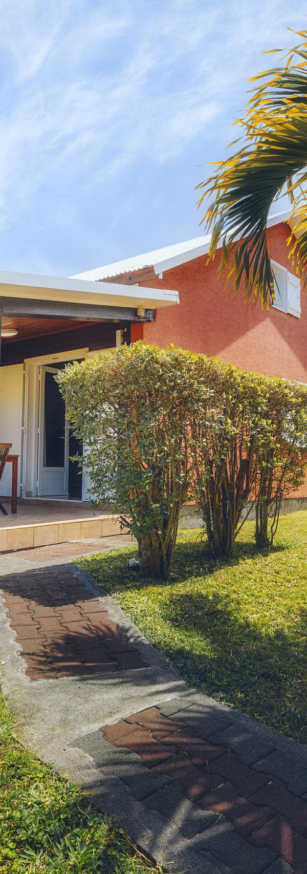 Duplex Standard (1)